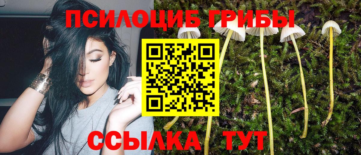 Аргун  Галлюциногенные грибы MAGIC MUSHROOMS  Вход с VPN 